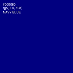 #000080 - Navy Blue Color Image